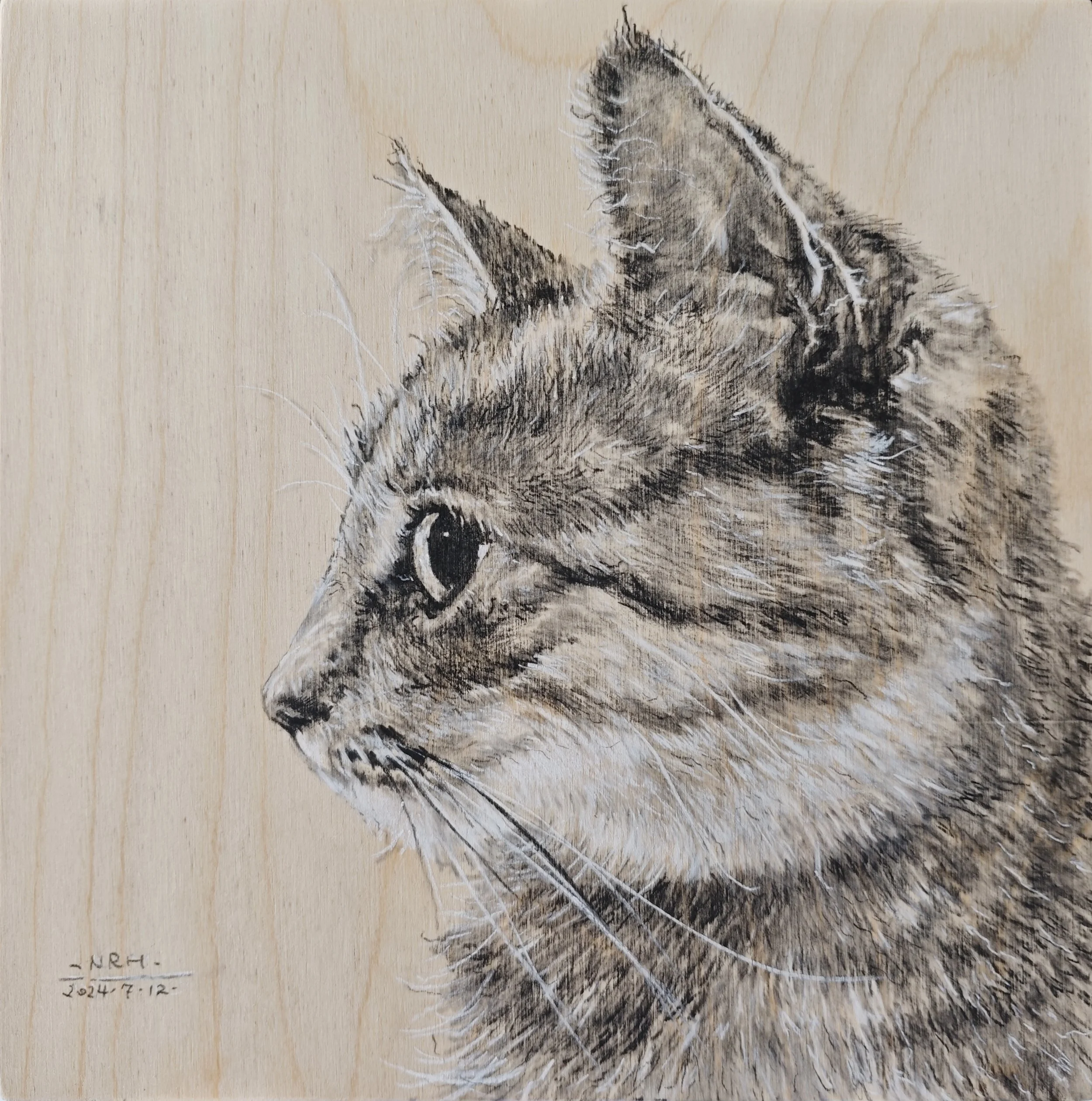 cat | Narenhua